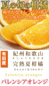 秀品　希少な国産バレンシアオレンジ　2.5kg　※2024年6月下旬頃～2024年7月上旬頃に順次発送予定（お届け日指定不可）【uot752】