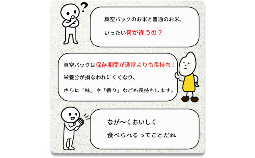 無洗米 10kg （2kg×5袋） 真空パック 京都丹波産 キヌヒカリ ※受注精米《米 白米 きぬひかり 10キロ 小分け ふるさと納税 無洗米 大嘗祭供納品種 亀岡そだち》※北海道・沖縄・その他離島