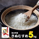 【ふるさと納税】【令和6年度産! 海士町産きぬむすめ5kg】島のきぬむすめをお届け！ お米 精米 白米 弁当 ごはん ご飯 きぬむすめ 年末年始 お正月 お歳暮 御歳暮 ギフト