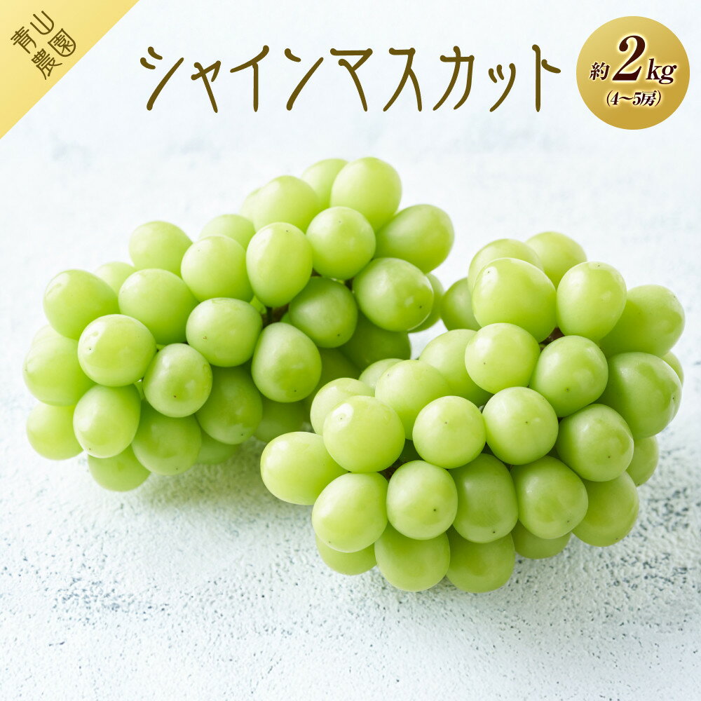 【ふるさと納税】【先行予約】【数量限定】 シャインマスカット 約2kg 〔2025年8月下旬より順次発送〕 | フルーツ 果物 くだもの ぶどう ブドウ セット 食品 人気 おすすめ 送料無料
