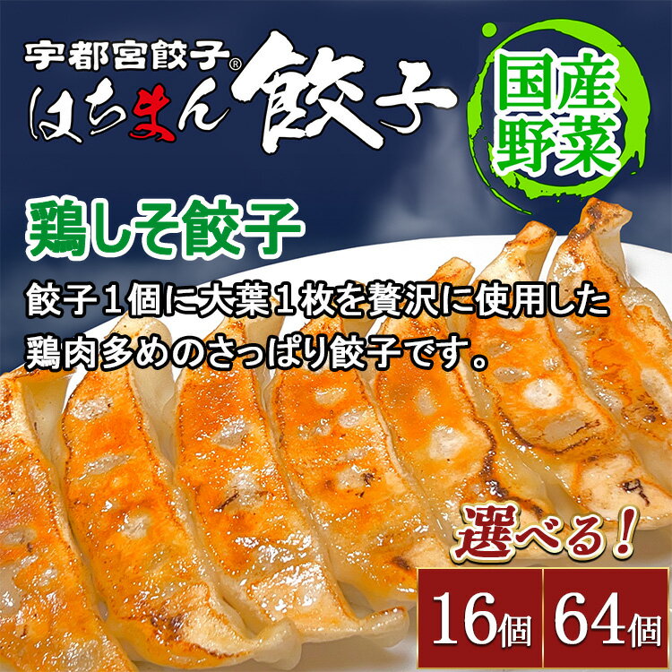 【ふるさと納税】【選べる内容量】宇都宮餃子 はちまん餃子 鶏しそ餃子 ｜ 宇都宮餃子 国産野菜 グルメ 宇都宮市 餃子 冷凍 ぎょうざ ギョーザ 野菜 冷凍食品 冷凍餃子 焼き餃子 水餃子