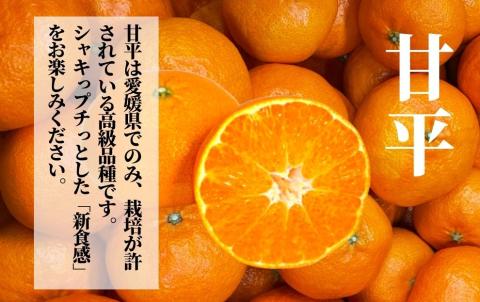 【2027年2月頃から順次発送】【甘平】約2.8ｋｇ（良品） みかん ブランド 柑橘 フルーツ 果物 愛媛 松山