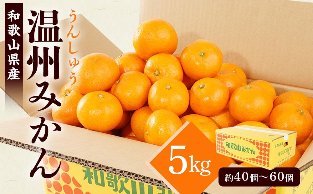 
            ［先行予約］［2025年11月初旬頃から順次発送予定］ 和歌山県産温州みかん 約5kg（40個～60個）秀品 こだわり農家厳選！［KG31］
          