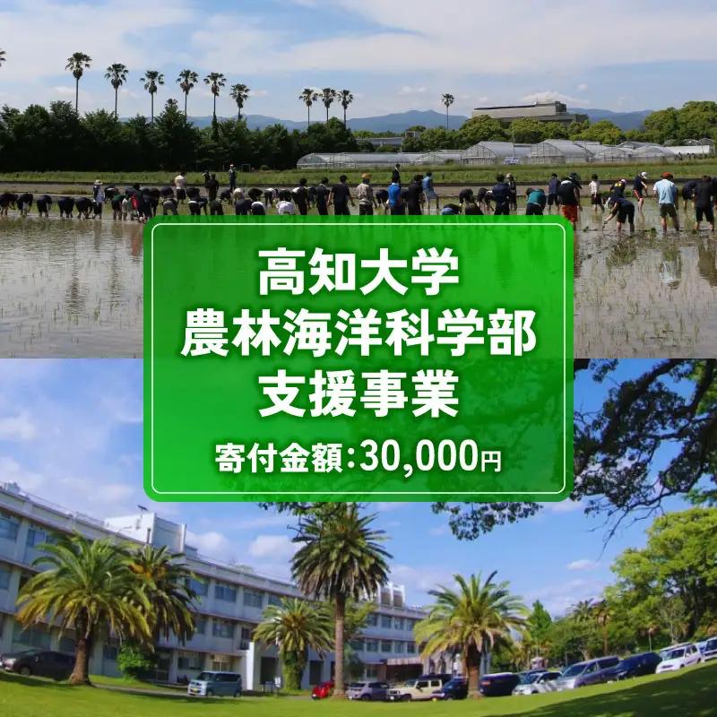 【返礼品なし/30,000円】高知大学 農林海洋科学部 支援事業(教育・研究・地域貢献を支える寄附) 支援