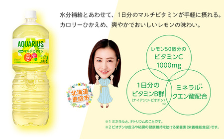 【定期便：全5回】アクエリアス 1日分のマルチビタミン　2LPET×6本【380089】