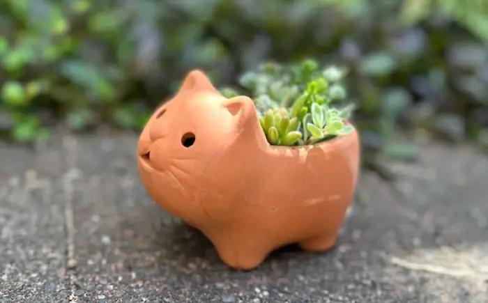 多肉植物 寄せ植え ねこ型 / 多肉植物 寄せ植え 鉢植え テラコッタ 埴輪カラー 園芸 ガーデニング 大阪府 / 大阪府藤井寺市/JamFlowerSalon [BLAW007]