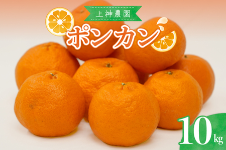 【2026年1月中旬～発送】上神農園のポンカン 約10kg ku011-008-25