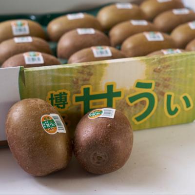 ふるさと納税 朝倉市 【先行受付】福岡限定!ブランドキウイ「甘うぃ(あまうぃ)」約3kg箱(24-33玉)(朝倉市) |  | 01