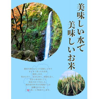 ふるさと納税 養老町 令和7年産　岐阜ハツシモSL　玄米　10kg |  | 01
