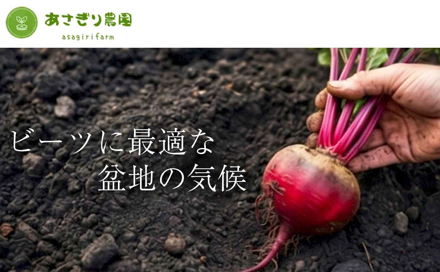 自社農園栽培 ビーツパウダー微粉末 100g（50g×2袋）