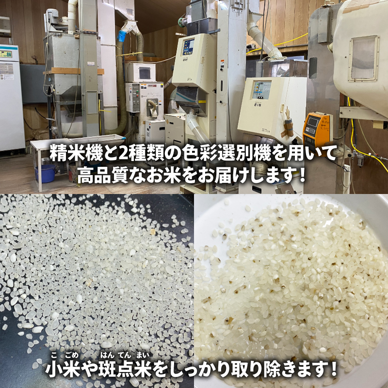 【予約】令和6年産 米 精米 10kg (5kg×2袋) 彩のきずな