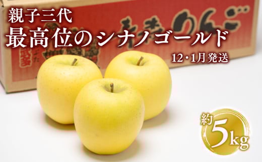 【12月・1月発送】 親子三代最高位のシナノゴールド約5kg【全国ふじコンテスト最高賞受賞農園 青森県 平川市 釈迦のりんご園】シナノゴールド 全国ふじコンテスト最高賞受賞 青森りんご 家庭用 リンゴ りんご リンゴ 林檎 フルーツ 果物 平川市 青森 