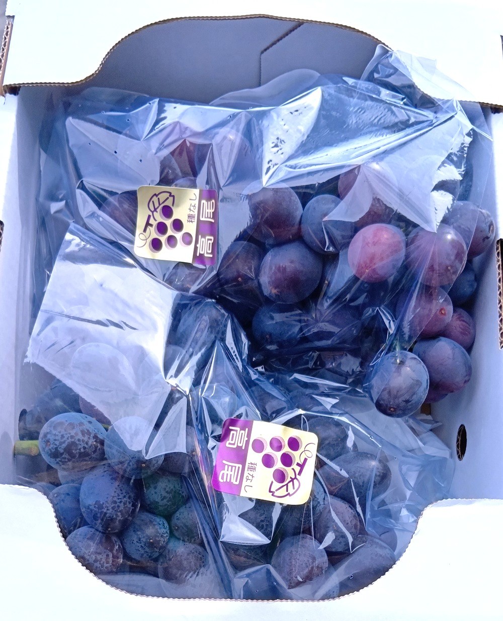 
                  山形のぶどう（高尾）２～４房　合計２ｋｇ　ご家庭用　0017-2605
                