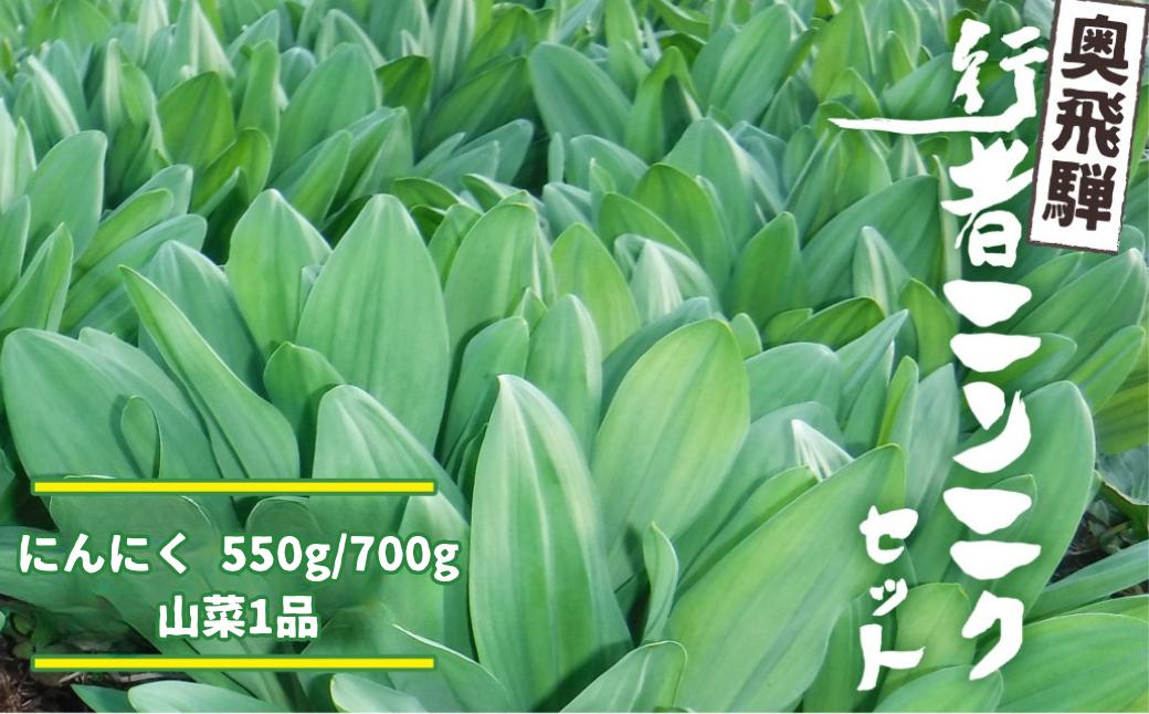 
            《先行予約》選べる内容量 奥飛騨産とれたて新鮮 生行者ニンニク 550g / 700g , 山菜1品 行者ニンニク 行者にんにく 醤油漬け 【4月下旬～5月上旬発送】[Q654xch Q655xch] 10000円 1万円 12000円
          