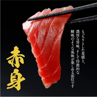 ふるさと納税 むつ市 津軽海峡　大間産　極上本マグロ　刺身用サク　赤身 |  | 01