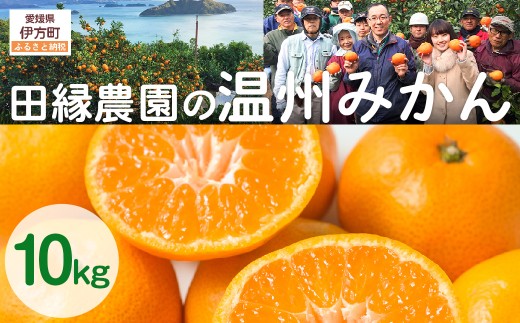 【先行予約】【数量限定】田縁農園の温州みかん（生果）10kg ※離島への配送不可 （2026年11月10日より順次発送） 【 ふるさと納税 人気 おすすめ ランキング みかん ミカン 蜜柑 温州みかん 温州ミカン フルーツ 果物 愛媛 県産 田縁農園 愛媛県 伊方町 送料無料 】 IKTA025
