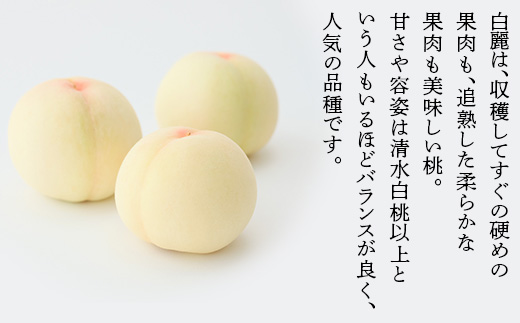 岡山白桃 食べ比べ定期便（年2回）【2026年産】