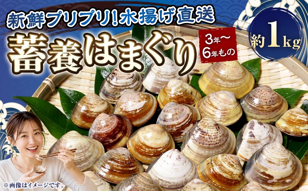 
                  【満天☆青空レストランでご紹介】桑名はまぐり屋 蓄養はまぐり 3年～6年もの 1kg_蛤 はま王 ハマグリ 魚介 貝 魚貝 活はまぐり 焼きはま 海鮮 網焼き 酒蒸し お吸い物 パエリア パスタ 焼きはまぐり 焼き蛤 
テレビ 紹介 a*97
                