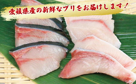 ぶり 鰤 訳あり ブリ 切身 計 2.25kg セット （ 250g × 9 パック ） 味付け オイル 付き 南予ビージョイ 骨なし 鰤 ブリ ぶり 切り身 わけあり 訳あり品 養殖 煮付け 照焼き