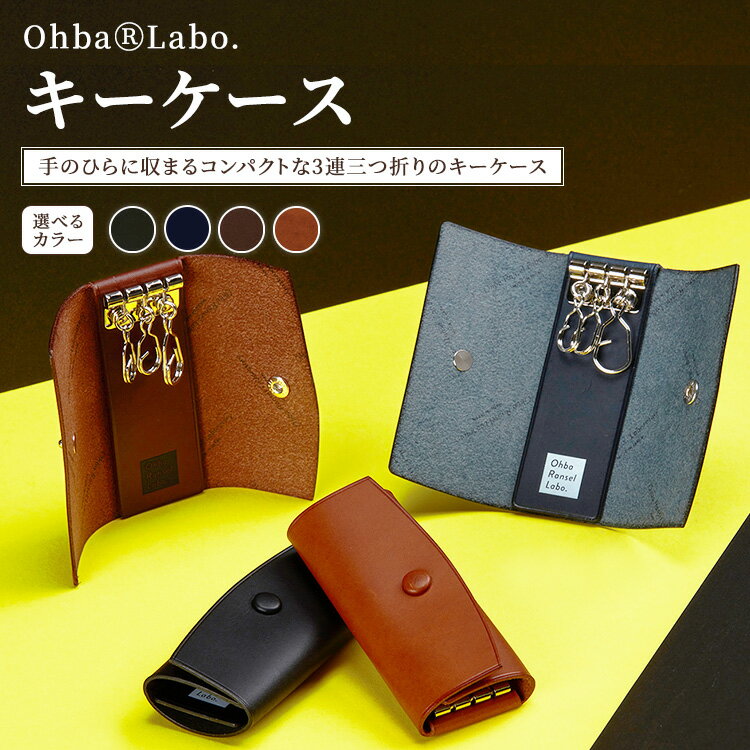 【ふるさと納税】【選べるカラー】キーケース