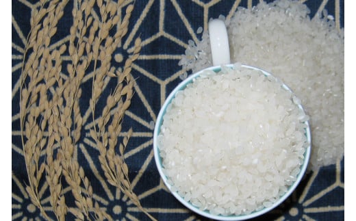 ＼新米 先行予約 令和7年産／ 完熟あさ陽米 (精白米) 10kg (5kg×2) ひとめぼれ 特別栽培米 生産農家直送 (CP029)