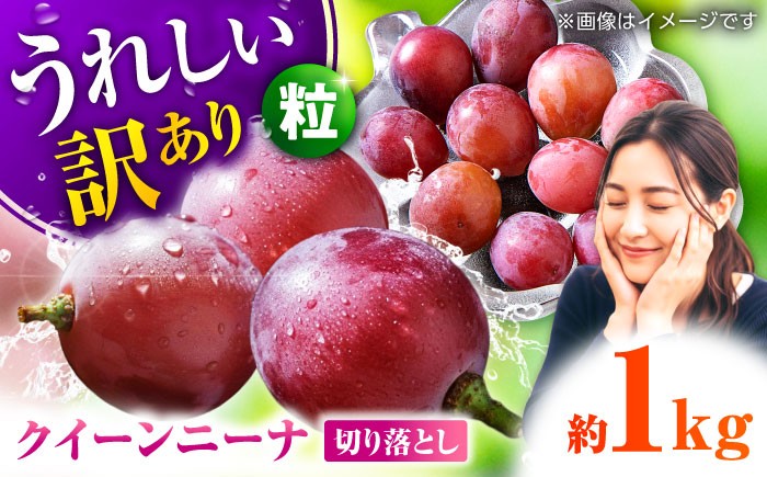 
                  【2026年発送先行予約】訳あり クイーンニーナ ぶどう 切り落とし 約1kg  ブドウ 葡萄 おすすめ 国産 熊本県 山鹿 果物 くだもの フルーツ 人気 ランキング ブランド キャンペーン 訳アリ 特産品 種類 産地 九州 食品 季節 評価 口コミ 送料無料 【合同会社 社方園】[ZBZ008]
                