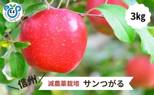 HF14-25A 【信州松川町産】 サンつがる 約3kg ／8月下旬～9月中旬ごろ発送開始予定 // 長野県 南信州  減農薬栽培 りんご サンつがる エコファーマー認証