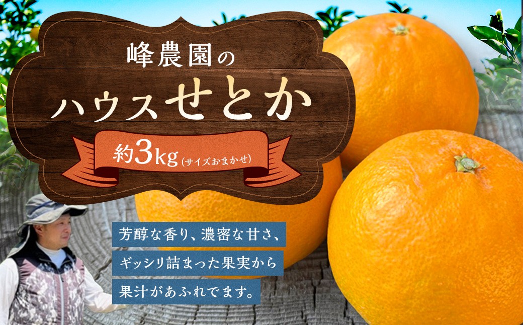 
                  峰農園のハウスせとか 3kg （サイズおまかせ）【2027年1月上旬-2月上旬発送予定】 みかん せとか ミカン 蜜柑 太良みかん 柑橘 フルーツ 果物 濃厚 甘い 完熟 アンコール マーコット オレンジ 薄皮 国産 こだわり 産地直送 贈答品 詰め合わせ 佐賀県 太良町 O169x2
                