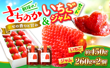【数量限定70個】【先行予約】【1月上旬から順次発送】大前農園のいちご＆いちごジャム[APAS002] いちご