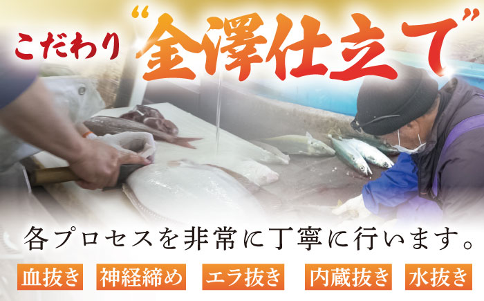 【全12回定期便】【五島の旬】下処理済み 超速冷凍 鮮魚 5種 柵 セット 旬 魚 冷凍 真空 刺身 五島市 / 金沢鮮魚 [PEP021]