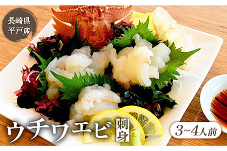 ウチワエビ 刺身 170g(ポン酢付)【ひばり】[KAA061]/  長崎 平戸 魚介類 海老 エビ ウチワエビ ウチワエビ ウチワエビ