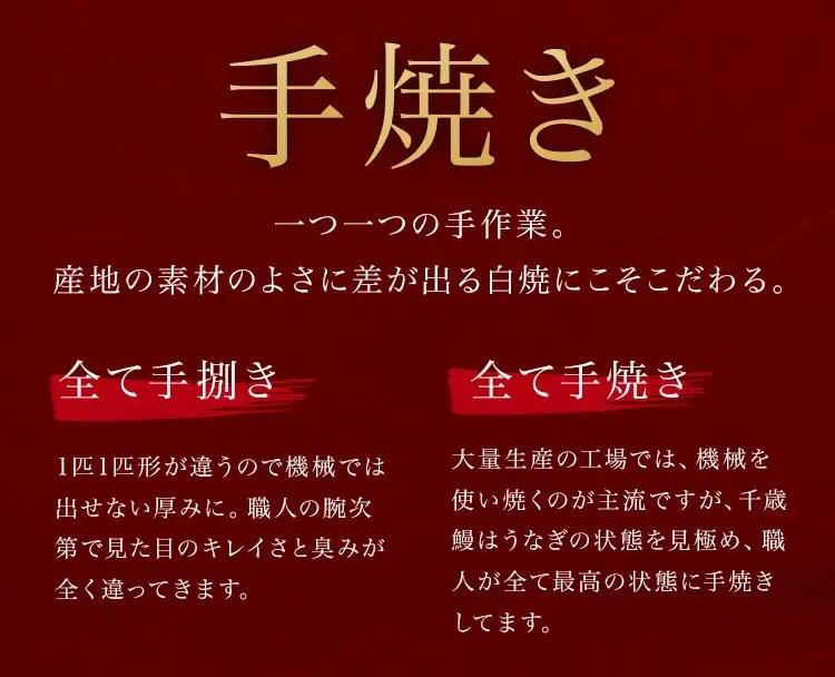 【定期便】鹿児島県大隅産　千歳鰻の 白焼鰻 「大」2尾×3回｜うなぎ うなぎ