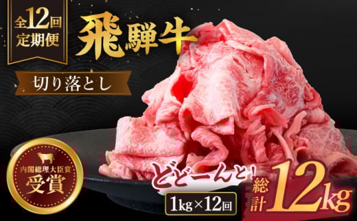 【 12回 定期便 】【 飛騨牛 】 切り落とし 総計 12kg 〈 1回あたり 〉1kg  ( 250g × 4 )  牛肉 国産 ブランド牛 和牛 多治見市/肉のひぐち [TDC016]