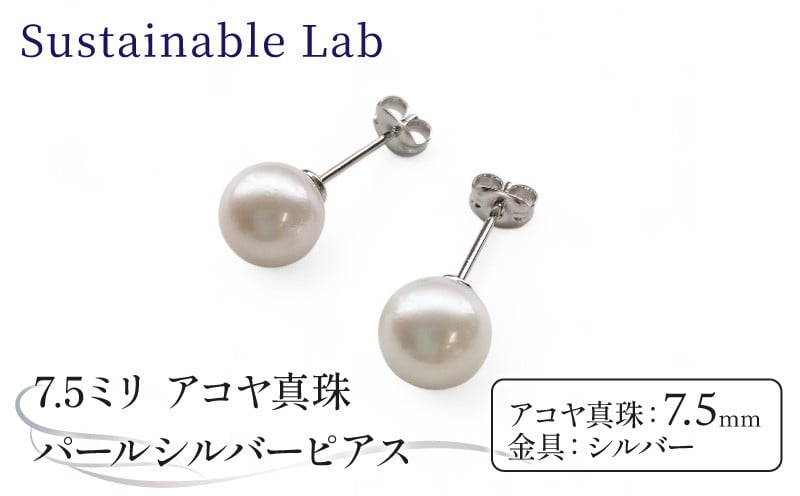 
            真珠 ピアス 7.5mm SV シルバー アコヤ真珠 アクセサリー ファッション akoya パール フォーマル カジュアル プレゼント ギフト 贈り物 贈答品 お祝い 誕生日 記念日 冠婚葬祭 慶事 弔事 結婚式 卒業式 入学式 国産 三重県 伊勢 志摩 南伊勢町 / パールシルバーピアス7.5mm
          