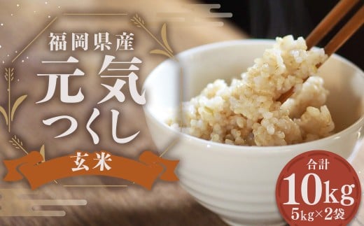 福岡県産 【特A】 評価のお米 元気つくし 5kg × 2袋 （10kg） 【玄米】 米 お米 こめ コメ ごはん ご飯 令和7年度米 ふるさと納税米 単一原料米 ブランド米 福岡県 嘉麻市 常温