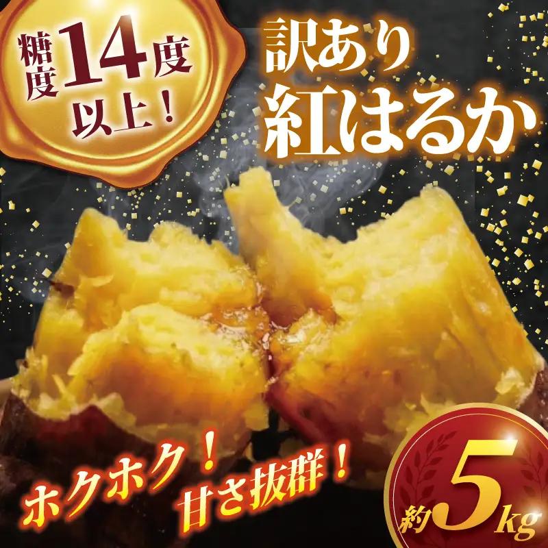紅はるか 5㎏ 【SDK001】紅はるか