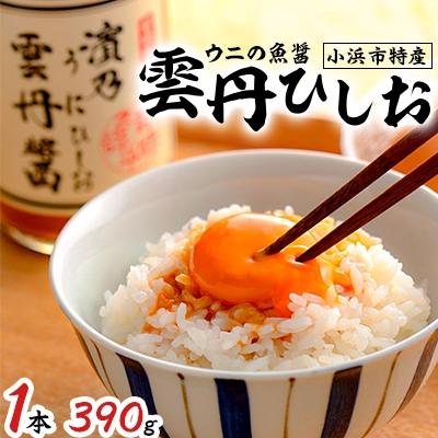 ふるさと納税 小浜市 雲丹ひしお