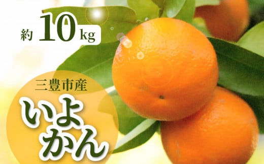 【ふるさと納税】【配送不可地域：北海道・沖縄県・離島】みかん いよかん 約 10kg 30玉～50玉 入り 強い甘み ほどよい酸味 果肉はやわらかく とてもジューシー 香りを豊かに感じる事ができる 爽やかな柑橘の香り 香川県 三豊市産 果物 フルーツ お取り寄せ 送料無料