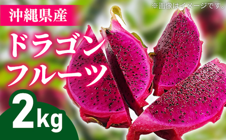 【2026年発送】熱帯果樹生産組合の完熟ドラゴンフルーツ 【レッドドラゴンフルーツ】　約2kg(3～7玉)- 赤 果肉 レッド ピタヤ スーパーフルーツ 先行受付 先行予約 人気 抗酸化作用 ベタシアニン おすすめ 国産 沖縄県 八重瀬町