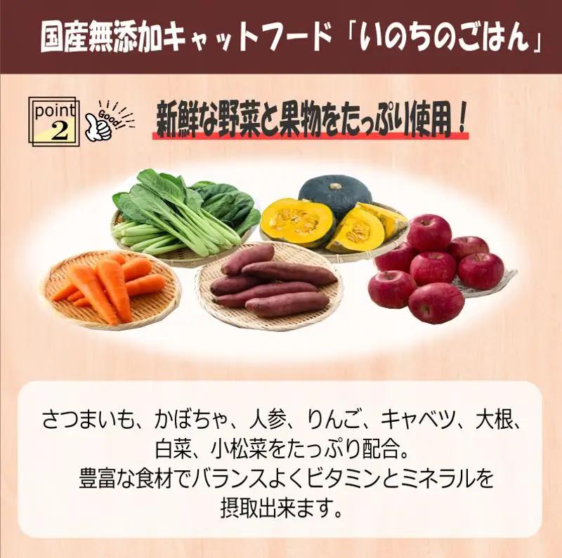 【定期便】国産無添加 キャットフード 500g×全3回「いのちのごはん」タンパク質 66％以上配合タイプ【毎月配送コース】