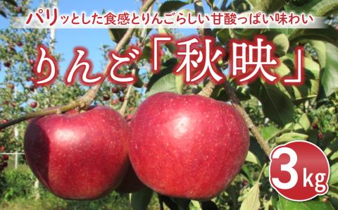 東御市産りんご　長野県オリジナル品種「秋映」3kg ※9月下旬～順次発送予定