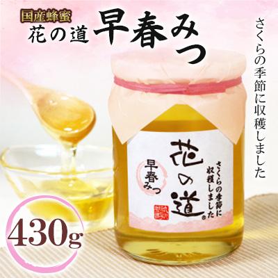ふるさと納税 広川町 早春みつ　430g(広川町)