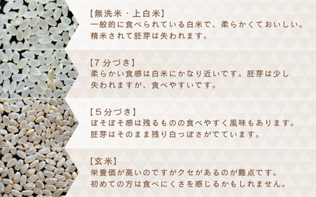 【令和7年産・新米】【12ヶ月連続お届け】あきさかり 5kg×12回 計60kg (上白米) ～福井県産 生産者直送！～ 【米定期便 玄米定期便 回数定期便 こめ定期便 5キロ定期便 定期便】 [L-