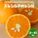 【ふるさと納税】【先行予約】 みかん バレンシアオレンジ　【選べる容量】3～10kg ※2025年7月中旬頃から順次発送予定【期間限定・先行予約・2025/6/30まで】 / みかん ミカン 蜜柑 柑橘 田辺市 オレンジ 期間限定 先行予約 和歌山 紀州