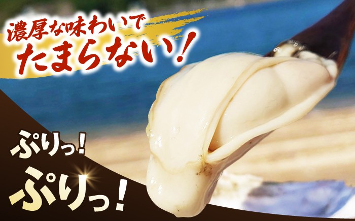 牡蠣 生食用 むき身 かき カキ 冷凍 広島牡蠣 オイスター kaki 広島県産