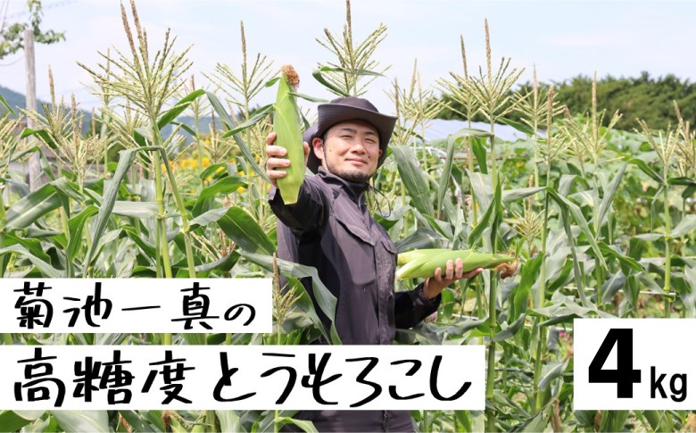 
            【先行予約】 とうもろこし ゴールドラッシュ 約 4kg 菊池一真 農家直送 とうもろこし トウモロコシ コーン 先行予約 季節の野菜 夏野菜 野菜 岩手県 遠野市 先行予約 産地直送 甘い 高糖度 【2026年7月下旬頃発送予定】
          