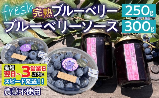【最短寄付翌日～3営業日以内に発送！】南アルプス市産【農薬不使用】完熟フレッシュブルーベリー250g+当ファーム自家製フレッシュソース2瓶SET ALPBL003