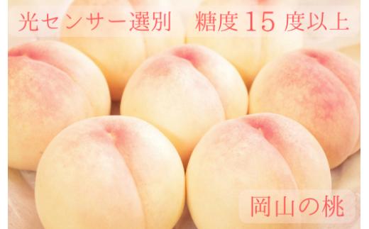 樹熟し 白桃 2kg 糖度15度以上 【極甘】 ＜7月下旬頃から9月中旬頃発送＞ _S117