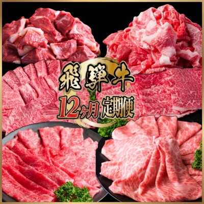 
                  ＜毎月定期便＞飛騨牛 少なめ定期便 計4.2kg すき焼き しゃぶしゃぶ 焼肉 ロース すね全12回【4090775】
                
