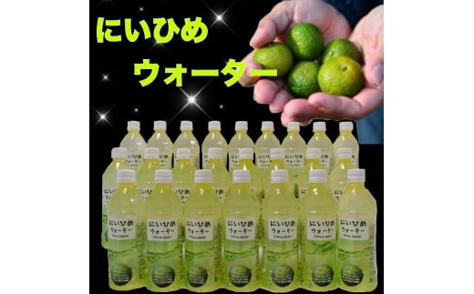 乾いたカラダを潤す♪ にいひめウォーター ５１０ml × ２４本 入